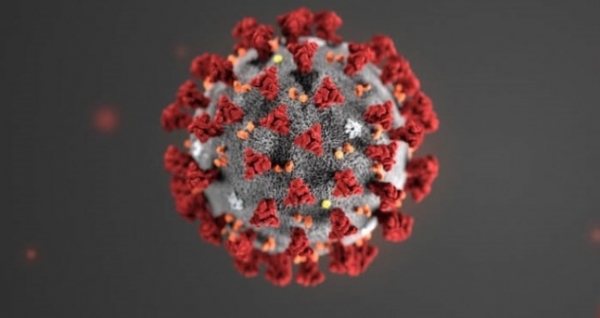 신종 코로나바이러스 모형도 ⓒ미국질병통제예방센터(CDC)
